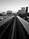 IMG_7367