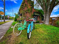 IMG_0879