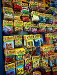 IMG_0881