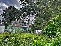 IMG_7933