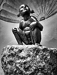 IMG_8545