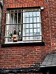 IMG_8559