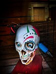 IMG_8651