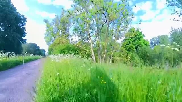 Dag 4