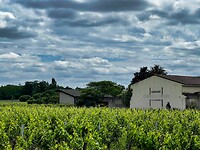 IMG_9061