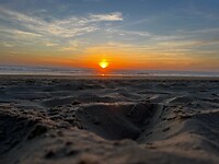 IMG_9131