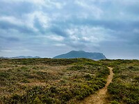 IMG_9288