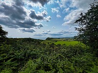 IMG_9401