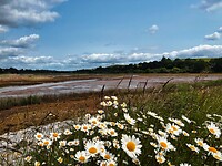 IMG_9400