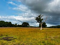 IMG_9391