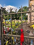 IMG_9389