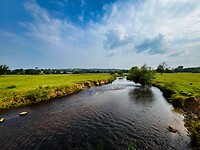 IMG_9425