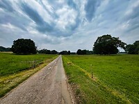 IMG_9438