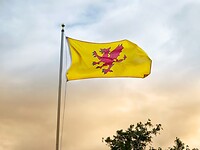 IMG_9459