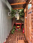 IMG_9453