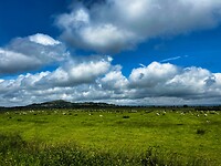 IMG_9465