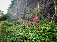 IMG_9511