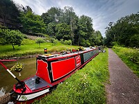 IMG_9529