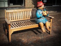 IMG_9585