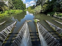 IMG_9590