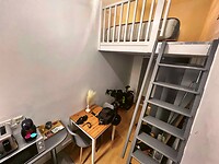 IMG_2528