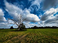 IMG_2526