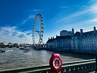 IMG_9653