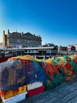IMG_9686