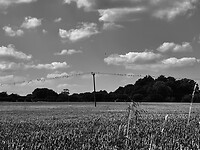 IMG_9698