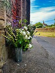 IMG_9702