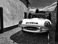 IMG_9741