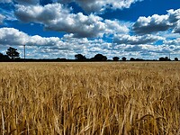 IMG_9749