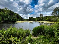 IMG_9751