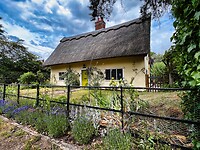 IMG_9754