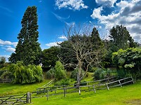 IMG_9756