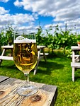 IMG_9759