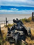 IMG_9763