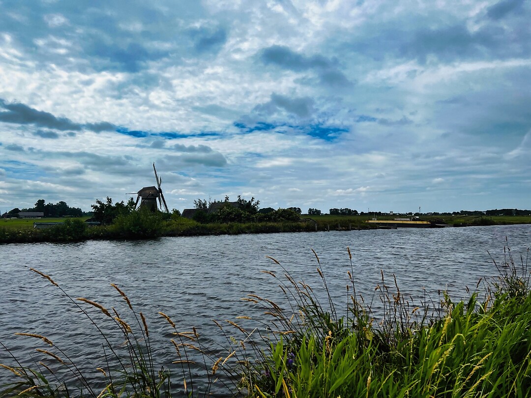 IMG_9811
