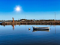 IMG_9914