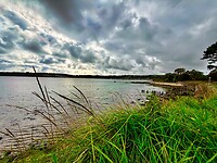 IMG_9945