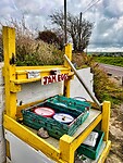 IMG_9946
