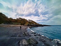 IMG_9955