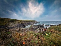 IMG_9958
