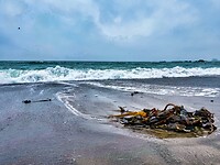 IMG_9960