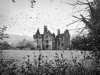 IMG_9965