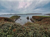 IMG_9975