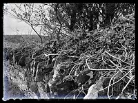 IMG_9992