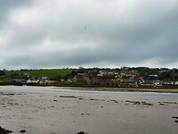 IMG_0023