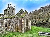 IMG_9990