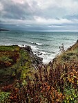 IMG_0066